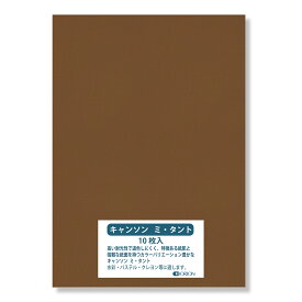 キャンソン ミタント紙 160g B3（515×364）501タバコ 10枚入 選べる27色 厚さ0.23mm オリオン