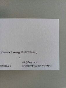 Fp NTV 100kg Iׂ26F A4 A3 B5 B4 4/6 0.17mm 傫Fp V II t@V[y[p[ vol.1