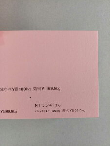 Fp NTV 100kg Iׂ26F A4 A3 B5 B4 4/6 0.17mm 傫Fp V II t@V[y[p[ vol.1