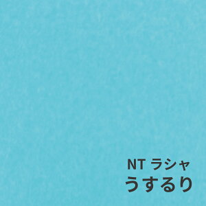 NTV 100kg  A1TCY 30 0.17mm V Fp II 841mm×594mm