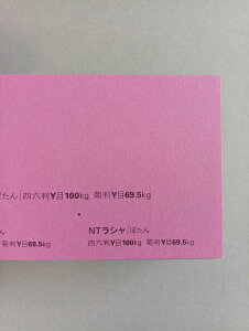 NTV 100kg ڂ A1TCY 30 0.17mm V Fp II 841mm×594mm