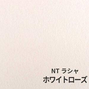 NTV 100kg zCg[Y A1TCY 30 0.17mm V Fp II 841mm×594mm