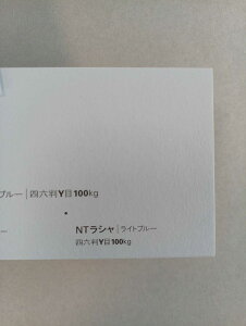 NTV 100kg Cgu[ A1TCY 30 0.17mm V Fp II 841mm×594mm