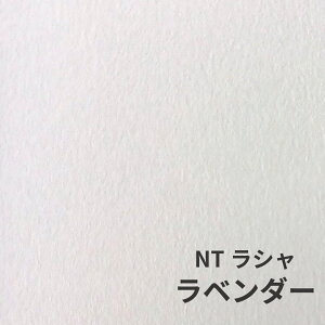 NTV 100kg x_[ A1TCY 30 0.17mm V Fp II 841mm×594mm