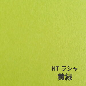 NTV 100kg  A1TCY 30 0.17mm V Fp II 841mm×594mm