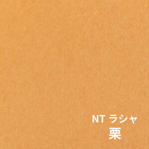 NTV 100kg I A1TCY 30 0.17mm V Fp II 841mm×594mm