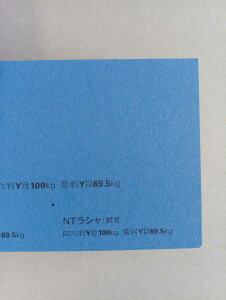 NTV 100kg Q A1TCY 30 0.17mm V Fp II 841mm×594mm