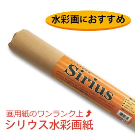 オリオン 水彩紙 シリウス水彩画紙ロール 厚口 (168g) 1085mm×10M 画用紙