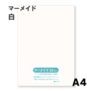 }[Ch IׂS60F9TCY 153kg  A4TCYi297×210j 33 Iׂ60F II