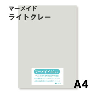 }[Ch IׂS60F9TCY 153kg CgO[ A4TCYi297×210j 33 Iׂ60F II