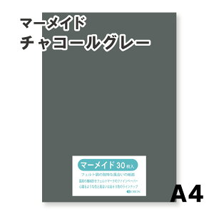 }[Ch IׂS60F9TCY 153kg `R[O[ A4TCYi297×210j 33 Iׂ60F II