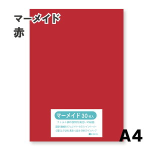 }[Ch IׂS60F9TCY 153kg  A4TCYi297×210j 33 Iׂ60F II