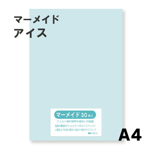 }[Ch IׂS60F9TCY 153kg ACX A4TCYi297×210j 33 Iׂ60F II