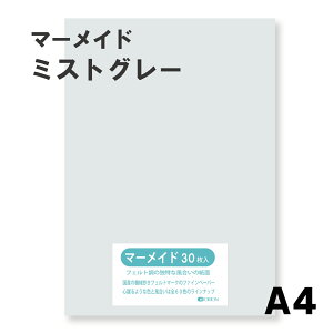 }[Ch IׂS60F9TCY 153kg ~XgO[ A4TCYi297×210j 33 Iׂ60F II