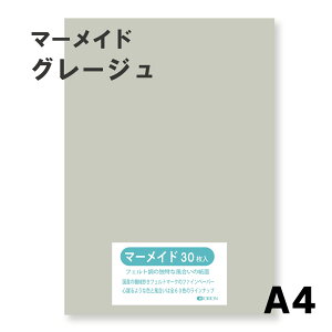 }[Ch IׂS60F9TCY 153kg O[W A4TCYi297×210j 33 Iׂ60F II