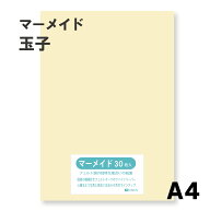 マーメイド紙 選べる全60色9サイズ 153kg 玉子 A4サイズ（297×210） 33枚入 選べる60色 オリオン