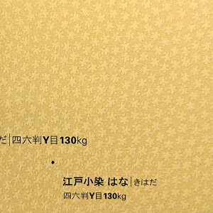 ]ˏ ͂ u͂v@130kg t@V[y[p[@Iׂ9FE10TCY@II