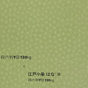 ]ˏ ͂ uv@130kg t@V[y[p[@Iׂ9FE10TCY@II