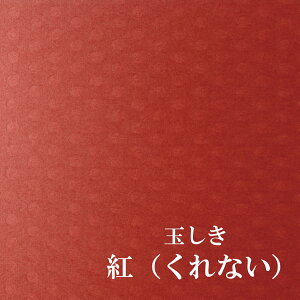 ʂ ugiȂjv@ 100kg 0.19mm@Iׂ6F 10TCY@t@V[y[p[@F@II