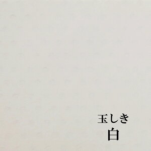 ʂ uv@ 100kg 0.19mm@Iׂ6F 10TCY@t@V[y[p[@F@II