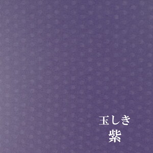 ʂ uv@ 100kg 0.19mm@Iׂ6F 10TCY@t@V[y[p[@F@II