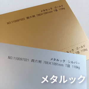 ^bN@110kg@Iׂ4TCY@S[hEVo[@0.11mm