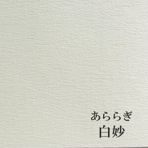 炬uv 110kg Iׂ19F@t@V[y[p[ II