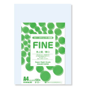 II F㎿pbN 100 A4 Iׂ33F 78kg 0.11 F͑ p ()