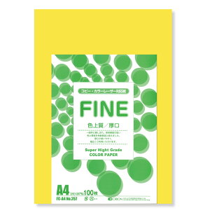 II F㎿pbN 100 A4 Iׂ33F 78kg 0.11 F͑ p ()