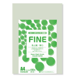 II F㎿pbN 100 A4 Iׂ33F 78kg 0.11 F͑ p (l)