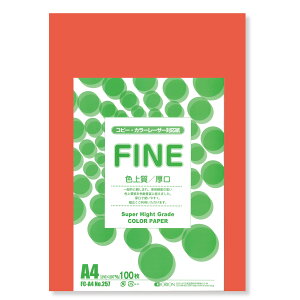II F㎿pbN 100 A4 Iׂ33F 78kg 0.11 F͑ p ()