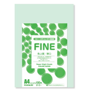 II F㎿pbN 100 A4 Iׂ33F 78kg 0.11 F͑ p ()