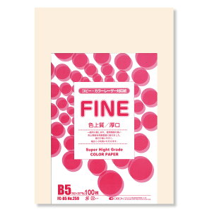 II F㎿pbN 100 B5 Iׂ33F 78kg 0.11 F͑ p (AC{[)