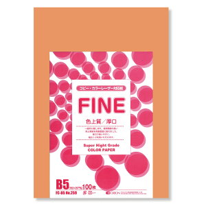 II F㎿pbN 100 B5 Iׂ33F 78kg 0.11 F͑ p (A}X)