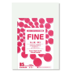 II F㎿pbN 100 B5 Iׂ33F 78kg 0.11 F͑ p ()