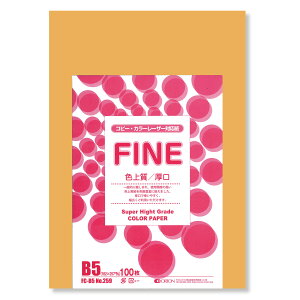 II F㎿pbN 100 B5 Iׂ33F 78kg 0.11 F͑ p (IW)