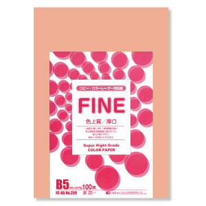 II F㎿pbN 100 B5 Iׂ33F 78kg 0.11 F͑ p (T[)