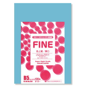 II F㎿pbN 100 B5 Iׂ33F 78kg 0.11 F͑ p (u[)