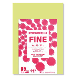 II F㎿pbN 100 B5 Iׂ33F 78kg 0.11 F͑ p ()