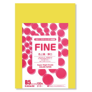 II F㎿pbN 100 B5 Iׂ33F 78kg 0.11 F͑ p ()