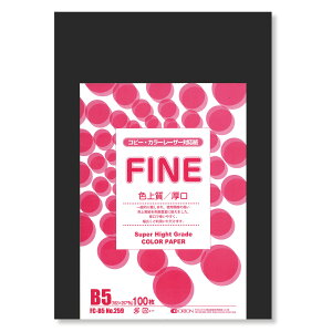 II F㎿pbN 100 B5 Iׂ33F 78kg 0.11 F͑ p ()