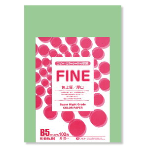 II F㎿pbN 100 B5 Iׂ33F 78kg 0.11 F͑ p (|)