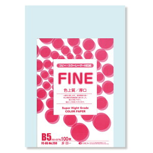 II F㎿pbN 100 B5 Iׂ33F 78kg 0.11 F͑ p ()
