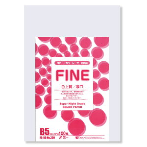 II F㎿pbN 100 B5 Iׂ33F 78kg 0.11 F͑ p ()