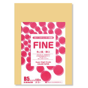 II F㎿pbN 100 B5 Iׂ33F 78kg 0.11 F͑ p ()