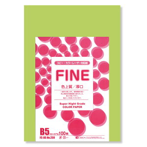 II F㎿pbN 100 B5 Iׂ33F 78kg 0.11 F͑ p ()