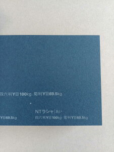 NTV 100kg B2TCY 30 0.17mm V Fp II 728mm×515mm 