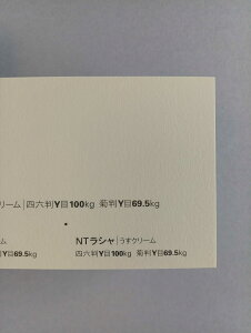 NTV 100kg A2TCY 30 0.17mm V Fp II 594mm×420mm N[