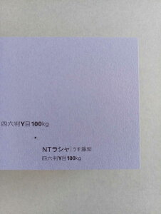 NTV 100kg B2TCY 30 0.17mm V Fp II 728mm×515mm 