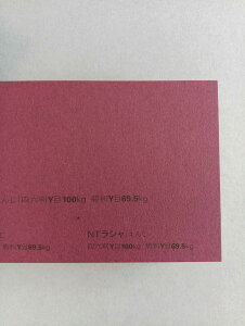 NTV 100kg B2TCY 30 0.17mm V Fp II 728mm×515mm 